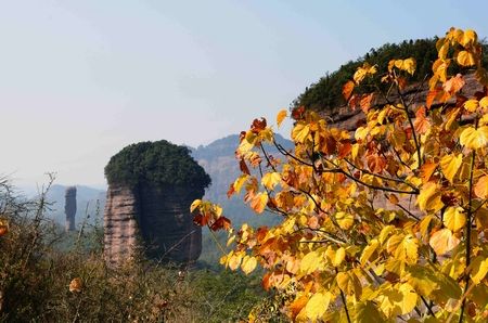 11月份丹霞山南雄银杏旅游